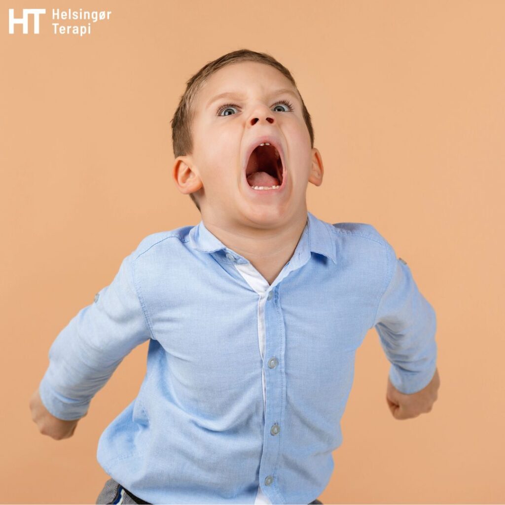 Barn og vrede. Håndter dit barns vrede uden en børnepsykolog